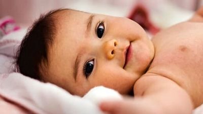 مقایسه کامل خواص شیر شتر و شیر گاو؛ کدام‌یک را باید انتخاب کنیم؟