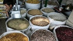  قیمت لوبیا چیتی به ۲۴۵ هزارتومان رسید 