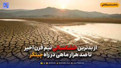 تقلبی که به خون نشست