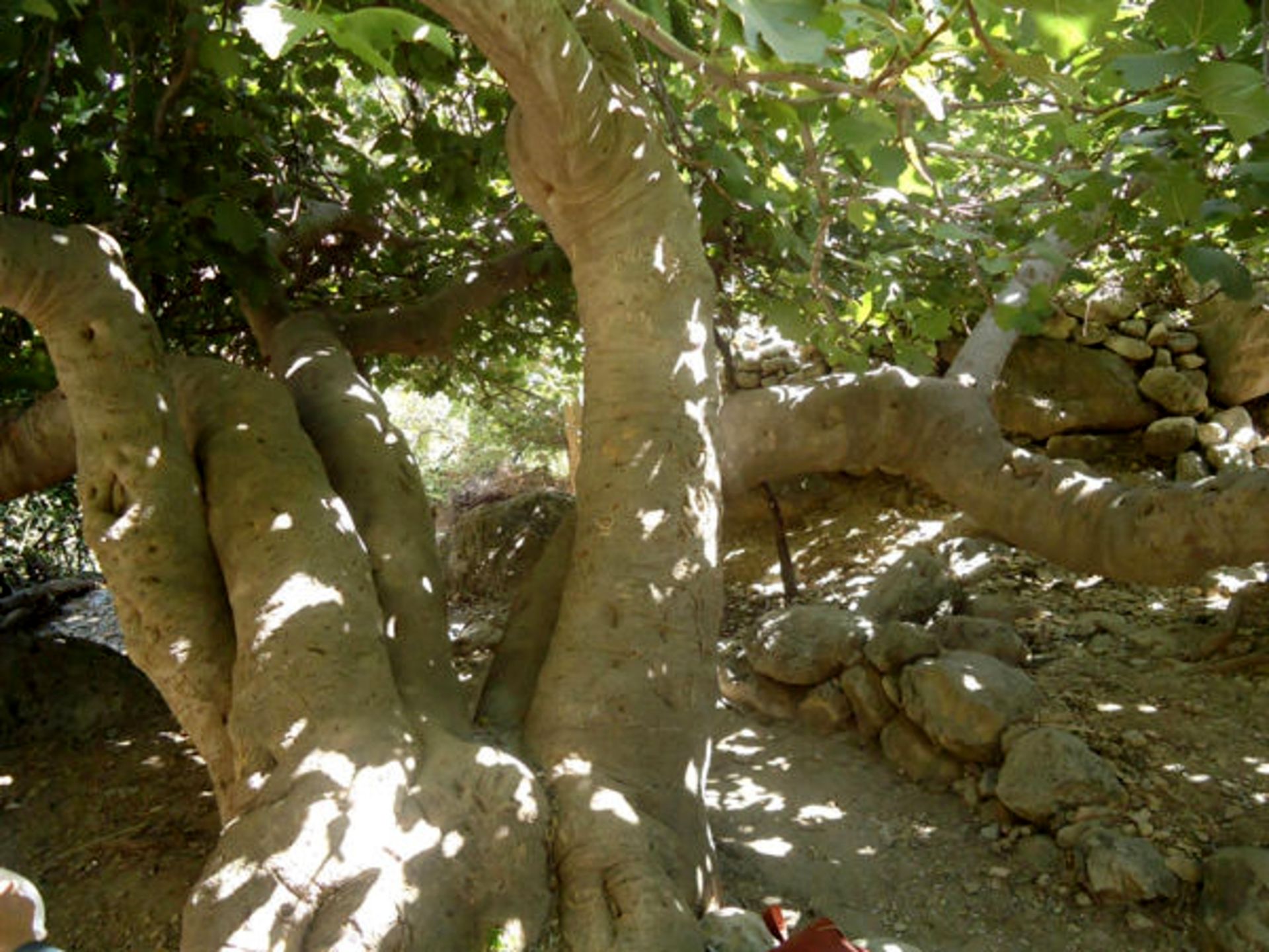 روستای گردشگری مارین