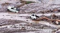 تماشا کنید | تصاویر هوایی از حجم خسارت سیل جاده سوادکوه