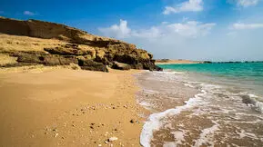  استقرار زیستگاه‌های مصنوعی برای حمایت از تنوع زیستی سواحل جنوبی خزر 