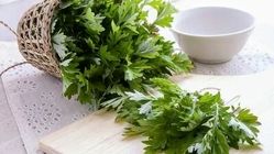  گیاه شگفت‌ انگیز موثر در پیشگیری از سرطان روده بزرگ 