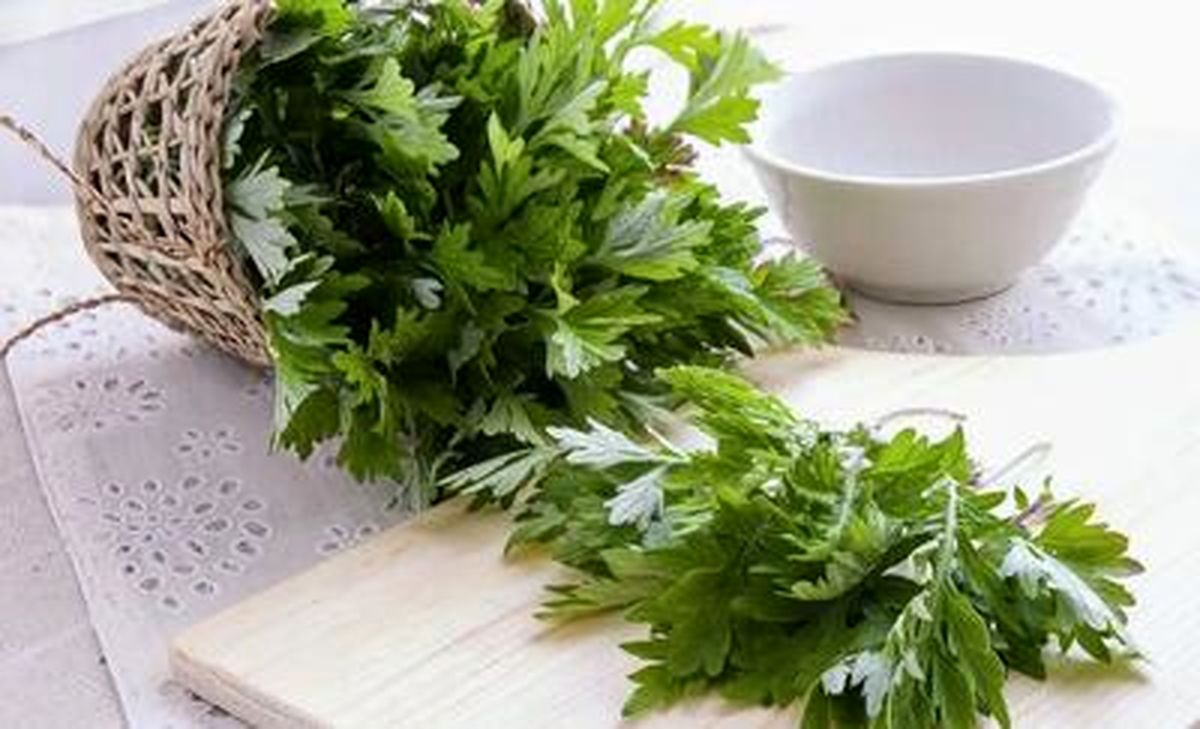  گیاه شگفت‌ انگیز موثر در پیشگیری از سرطان روده بزرگ 