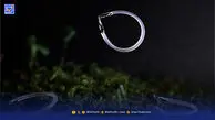 بدون باتری، بدون سیم، فقط نور؛ رباتهایی که راه را با انرژی نور پیدا می‌کنند