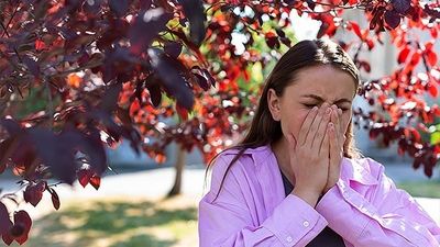 راه‌های خانگی فرار از حساسیت پاییزی