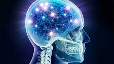 حذف پایگاه داده یک شرکت توسط هوش مصنوعی