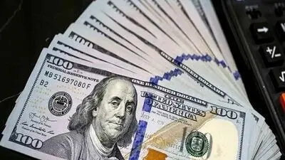 جزئیات فروش دلار با کد ملی + روش دریافت دلار دولتی و محدودیت ها