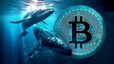 بیت‌کوین رکورد جدیدی ثبت کرد؛ افزایش قیمت بی‌سابقه در اردیبهشت ماه