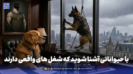 با حیواناتی آشنا شوید که شغل های واقعی دارند!