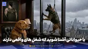 با حیواناتی آشنا شوید که شغل های واقعی دارند!