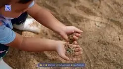 «حس هفتمِ» انسان کشف شد