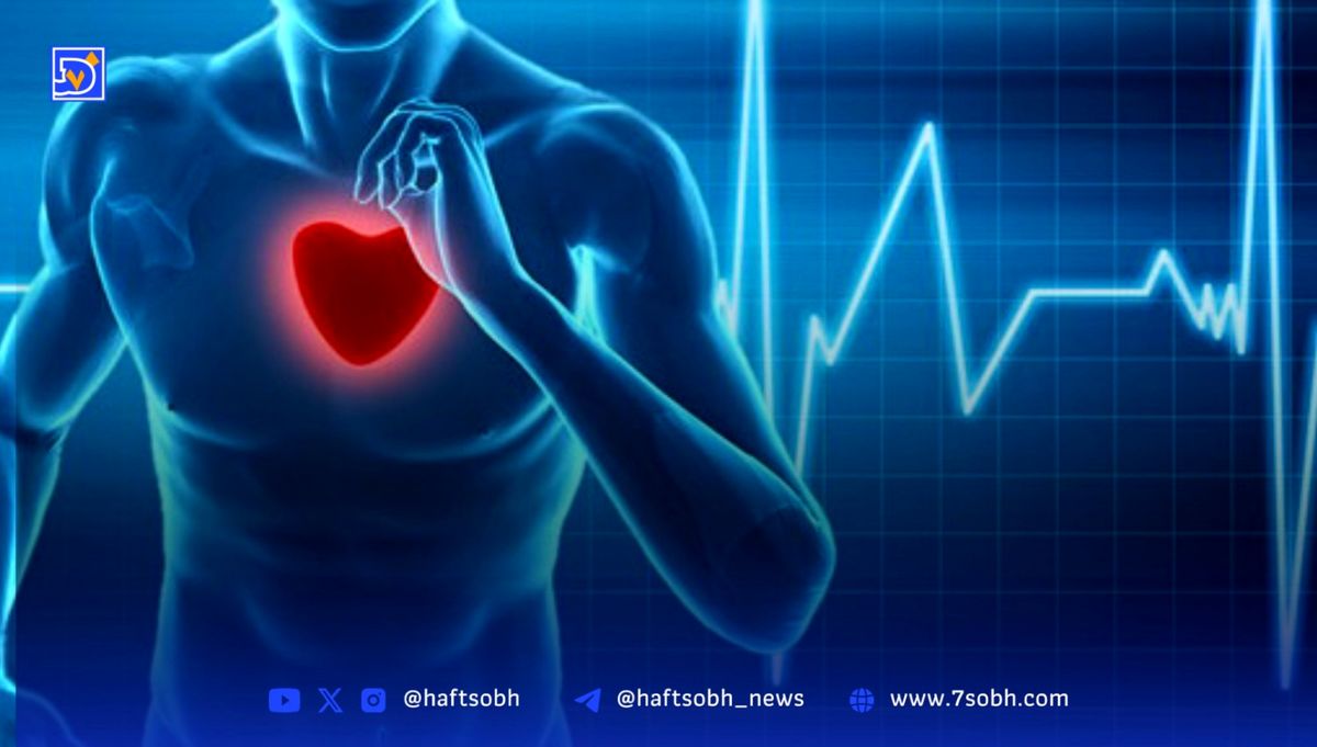 عرق زیاد، چربی سوزی بیشتر؟ باور کنیم یا نه؟