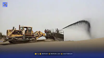 زخم نفت‌ بر تن جنگل‌های حرا در سواحل جنوبی قشم