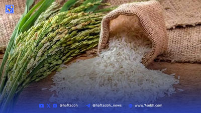 برنج با وعده پخته نمی‌شود