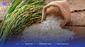 قیمت انواع برنج در بازار اعلام شد