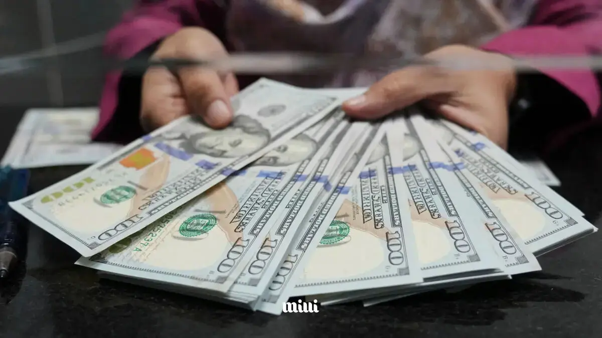 جزئیات فروش دلار با کد ملی + روش دریافت دلار دولتی و محدودیت ها