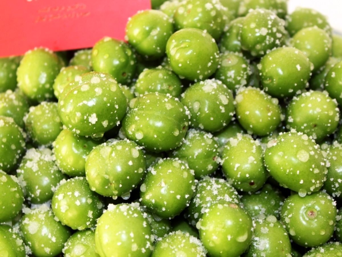 گوجه سبز کیلو 11 میلیون تومان ناقابل!