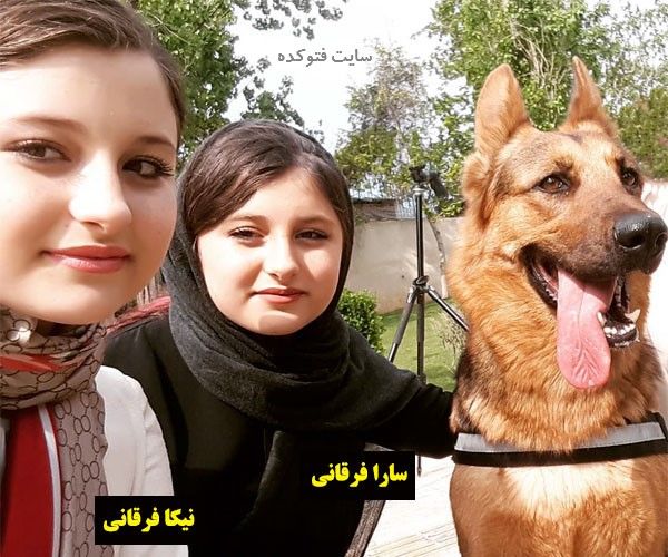 بیوگرافی سارا و نیکا فرقانی اصل در سریال پایتخت