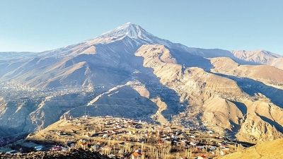 ویدیو | درگیری سگ و یک قلاده پلنگ در یکی از روستاهای دماوند