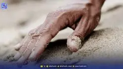 «حس هفتم» انسان فعال شد!