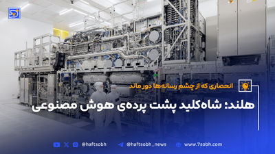 فیلم استقبال باشکوه گلستانی‌ها از مرد تاریخ‌ساز ژیمناستیک ایران/ سنگ تمام گذاشتند
