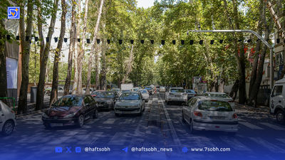 نیمکت‌هایی که هنوز نفس می‌کشند