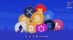  قیمت آلت کوین ها امروز ۱۹ شهریور ۱۴۰۵ 
