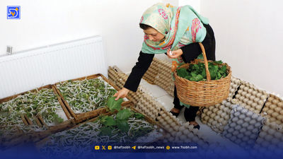 وقتی گرما هم لوکس میشود