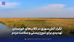 تکرار آتش‌سوزی در تالاب‌های خوزستان؛ تهدیدی برای تنوع زیستی و سلامت مردم