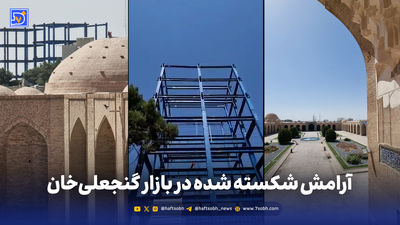 اصالت فین در خطر نابودی