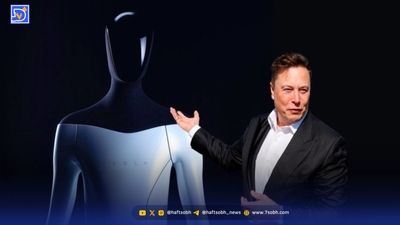 هوش مصنوعی سازمان دارد؟