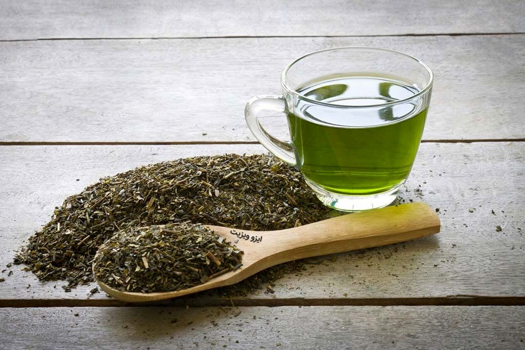 خواص چای سبز چیست؟؛ معرفی 10 خاصیت جادویی چای سبز - ایزو ویزیت