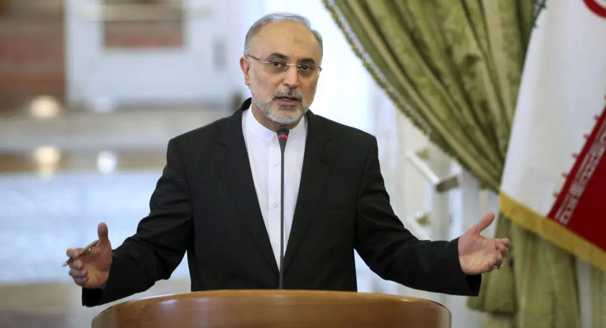 صالحی: نظام اراده کند غنی سازی را از سر می‌گیریم