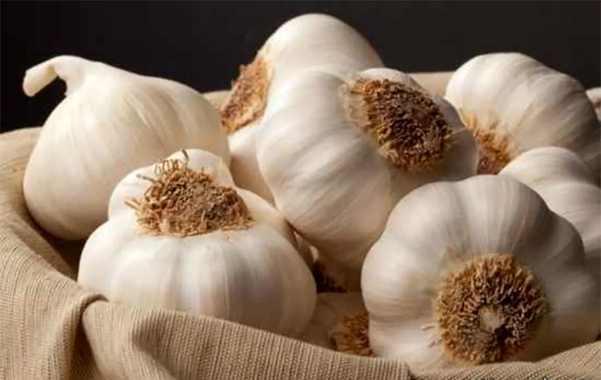 به این چند دلیل هر روز سیر بخورید