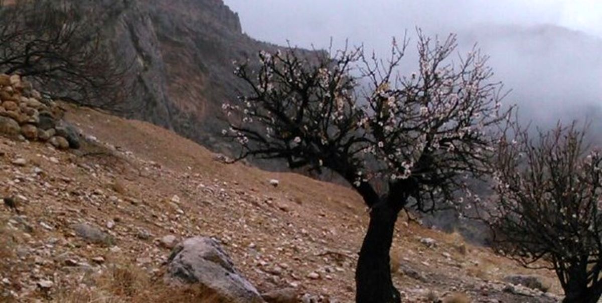 کاهش دما تا ۱۰ درجه در سواحل خزر و شمالشرق