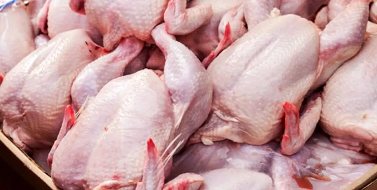 ذبح غیرشرعی مرغ امکان ندارد