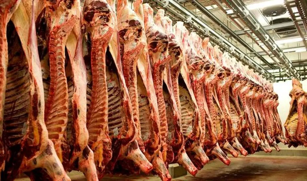 ارزانی گوشت قرمز در راه است ؟