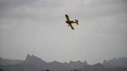 تصاویر | جنگ هواپیماهای سمپاش با ملخ‌های صحرایی