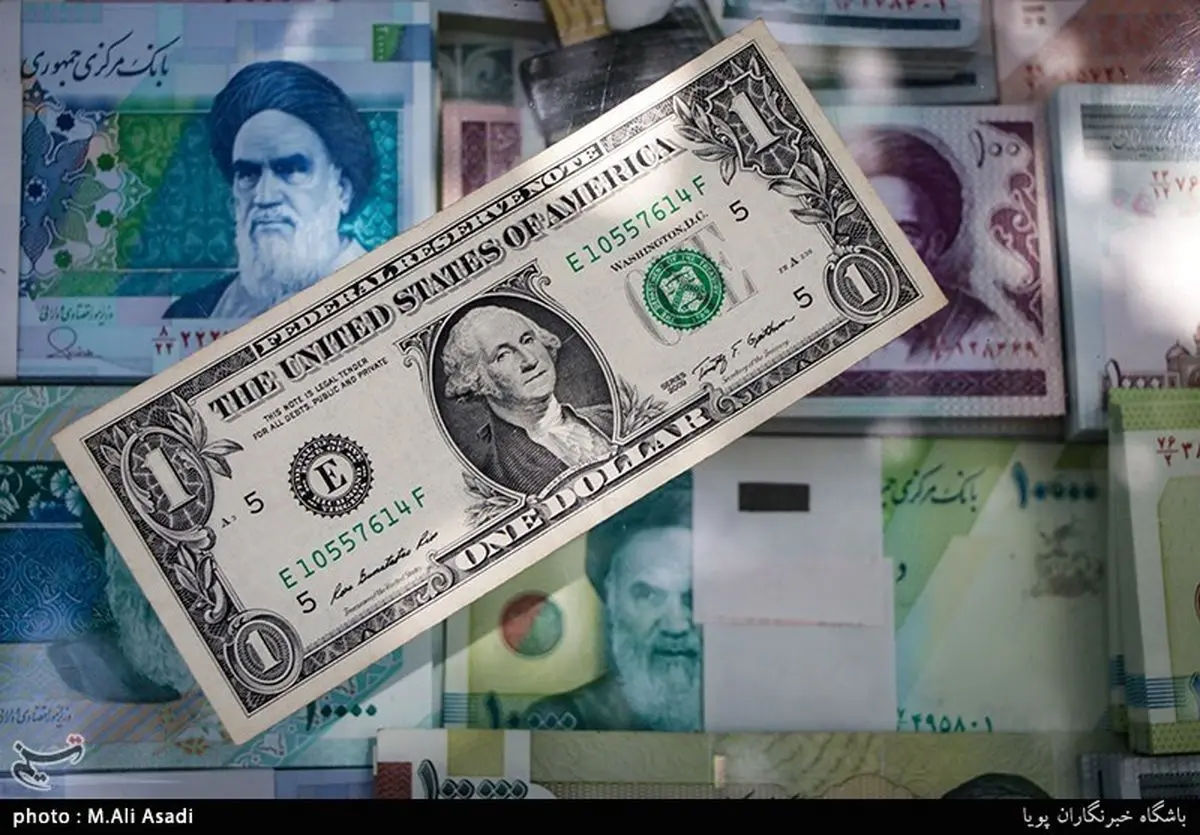 ۲۵میلیارد ارز دولتی و ۲۳۲میلیون ارز نیمایی کجا رفته؟
