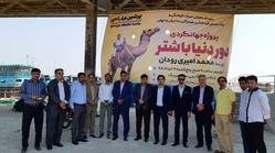 سفر دور دنیا یک ایرانی با شتر