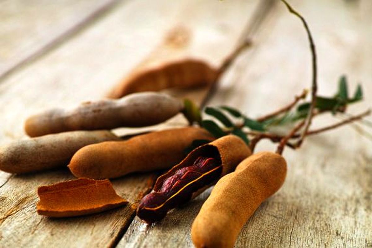 با خوردن این میوه بدنتان را خنک و تشنگیتان را رفع کنید