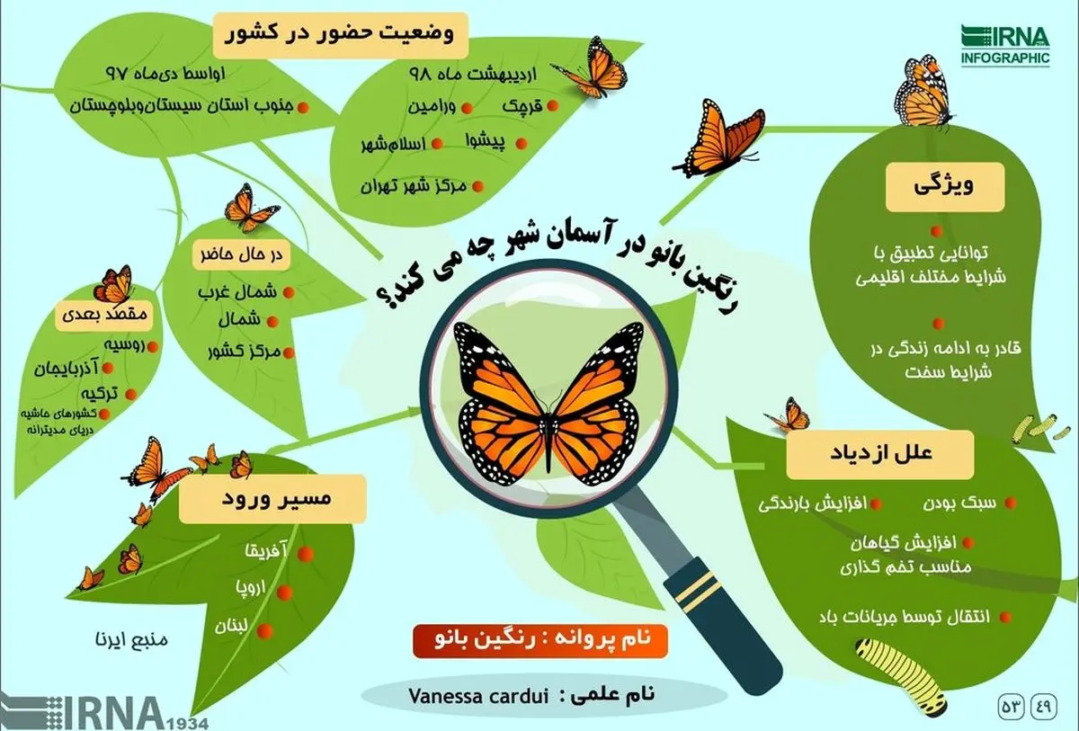 اینفوگرافیک | پروانه‌ها در تهران چه می‌کنند؟