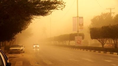  دستورالعمل برنامه ملی شیر مدرسه بازنگری می‌شود 