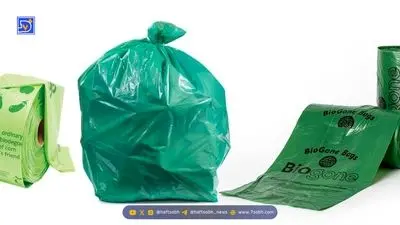 لحظه جالب بلعیدن ماهی توسط مرغ مارگردن | فیلم با سرعت ۱۶ برابر کند شده