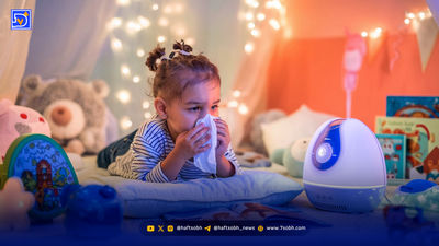 قدرت مغز گردو برای سلامتی را دست‌کم نگیرید