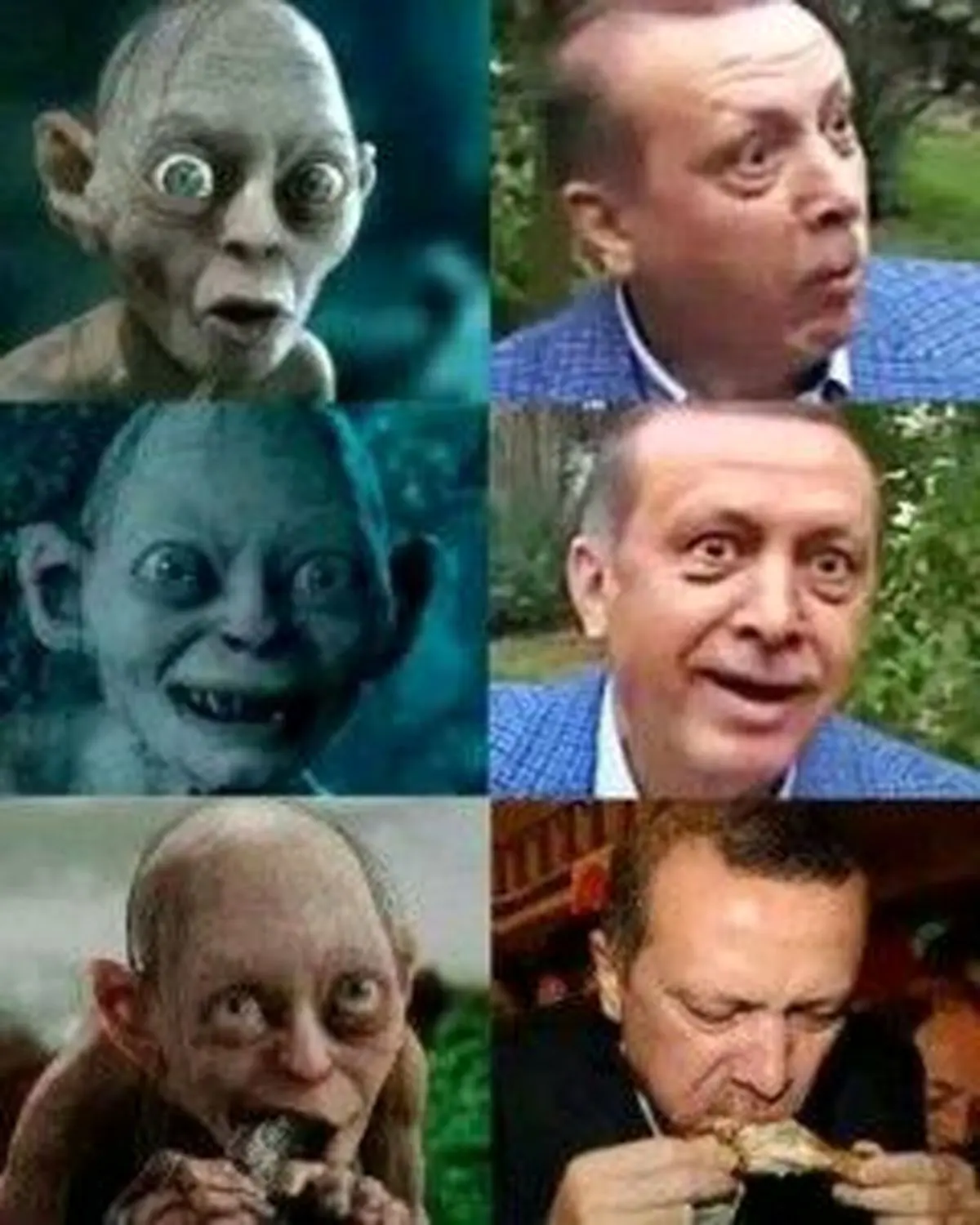 اخراج از کار دولتی به دلیل مقایسه اردوغان با گالوم!
