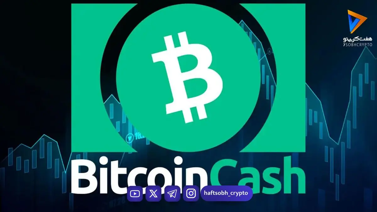  رشد ۲۰ درصدی BCH در یک ماه؛ بیت‌کوین کش به دنبال عبور از سد ۳۲۰ دلار 