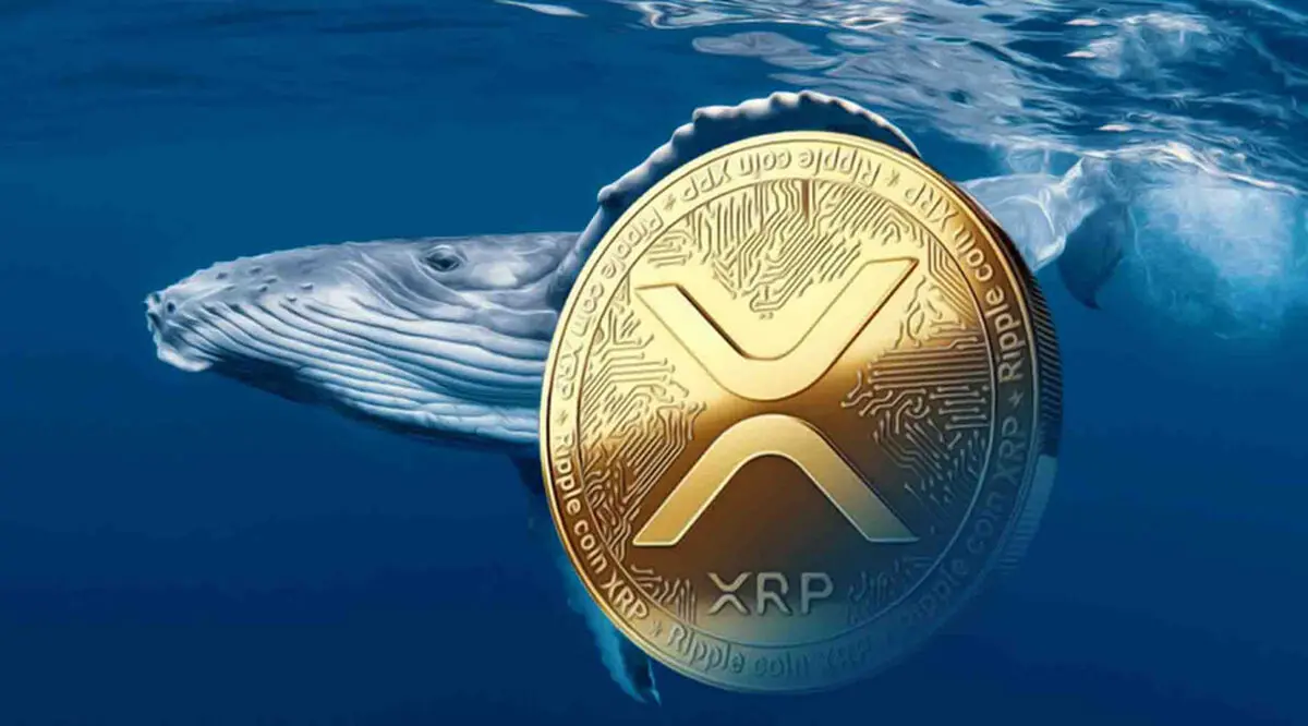 انباشت نهنگ‌ها و هولدرهای کوتاه‌مدت ریپل؛ دلیل تثبیت قیمت XRP چیست؟