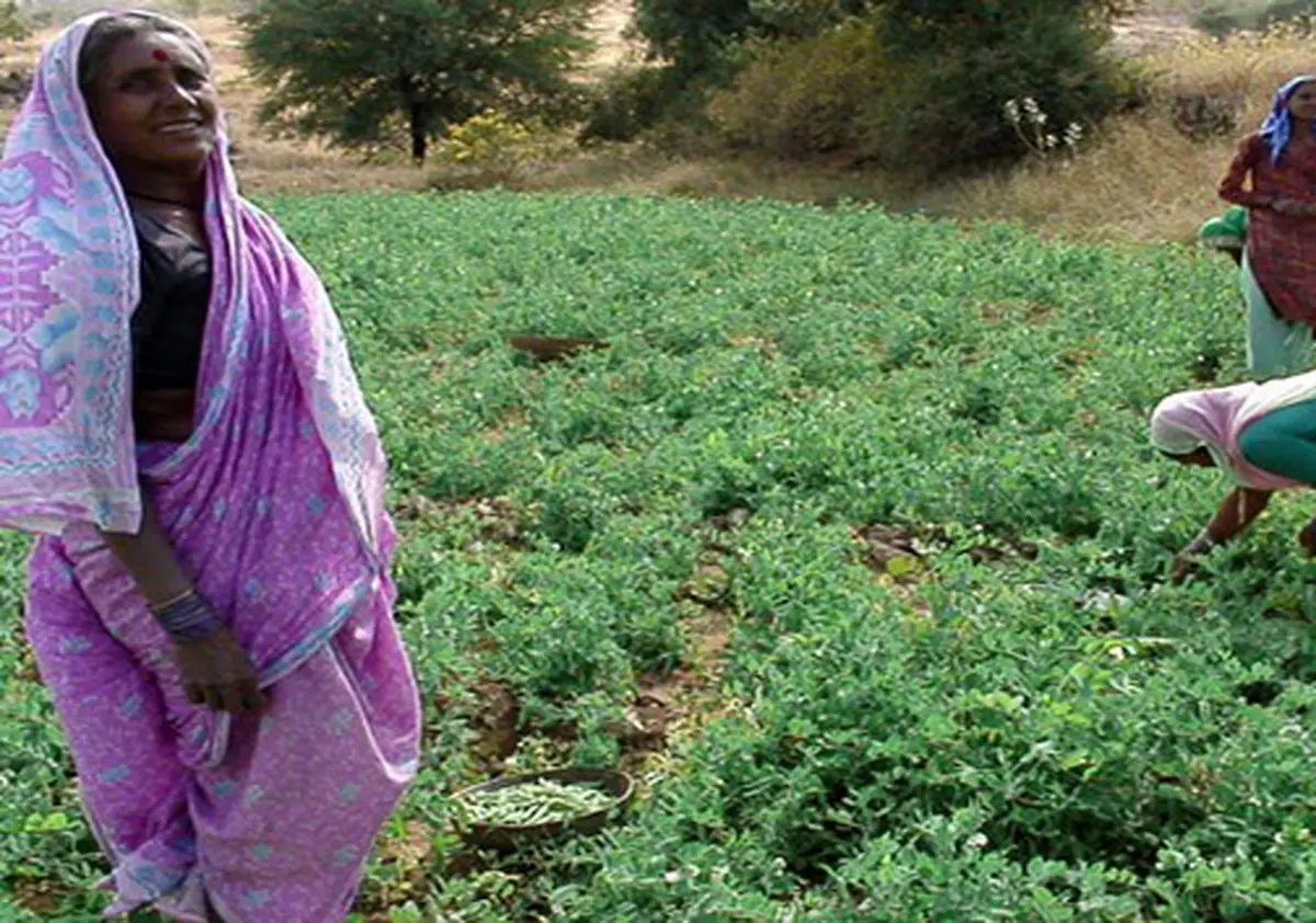 هیواری بازار، ثروتمندترین روستای هند